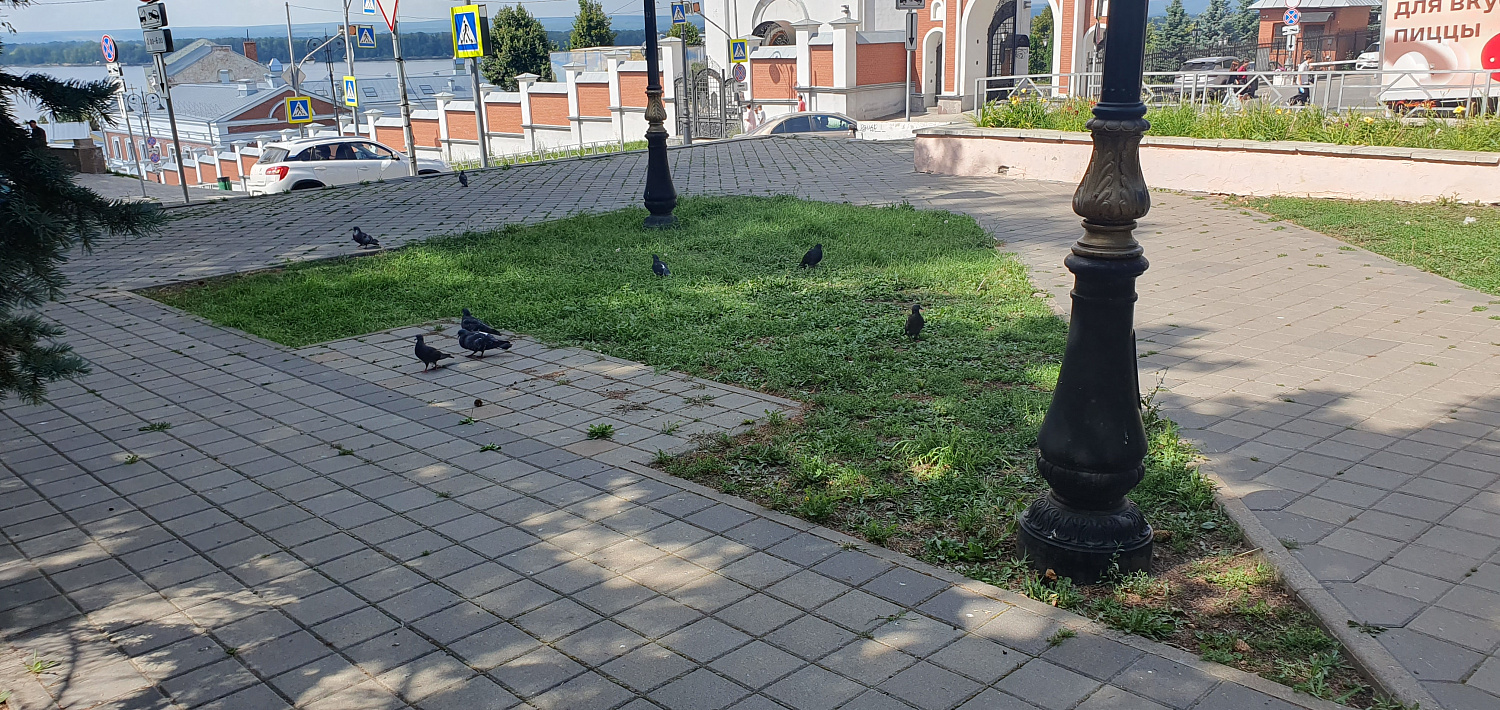 Ассоциация поможет уточнить проект для сквера им. П.Л. Монастырского в Самаре