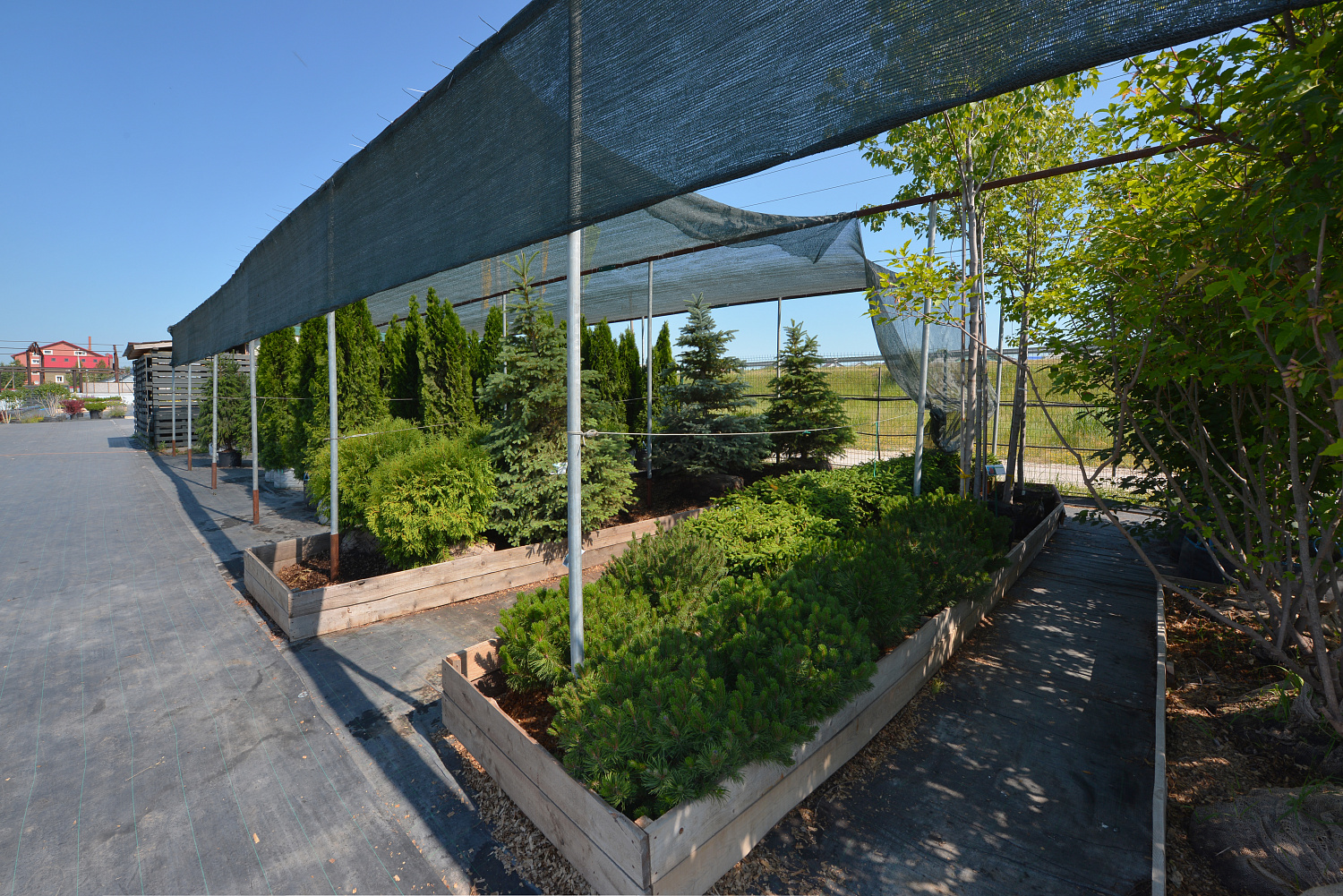 ГК "САДПАРАД" - новый член ассоциации