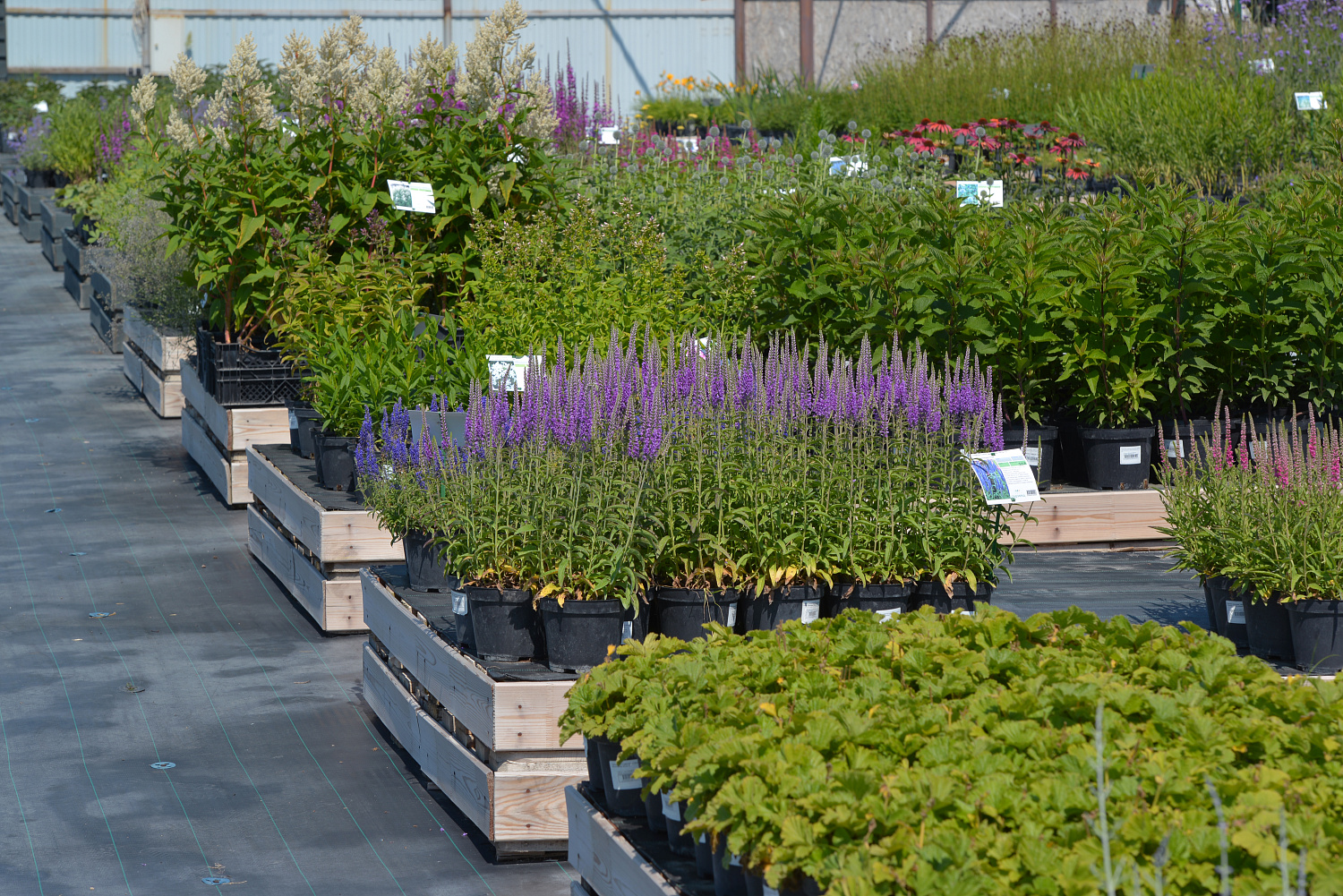 ГК "САДПАРАД" - новый член ассоциации